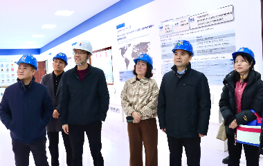 陽光電源股份、宜賓智能制造行業(yè)協(xié)會(huì)、宜賓安徽商會(huì)調(diào)研遠(yuǎn)東電纜（宜賓）